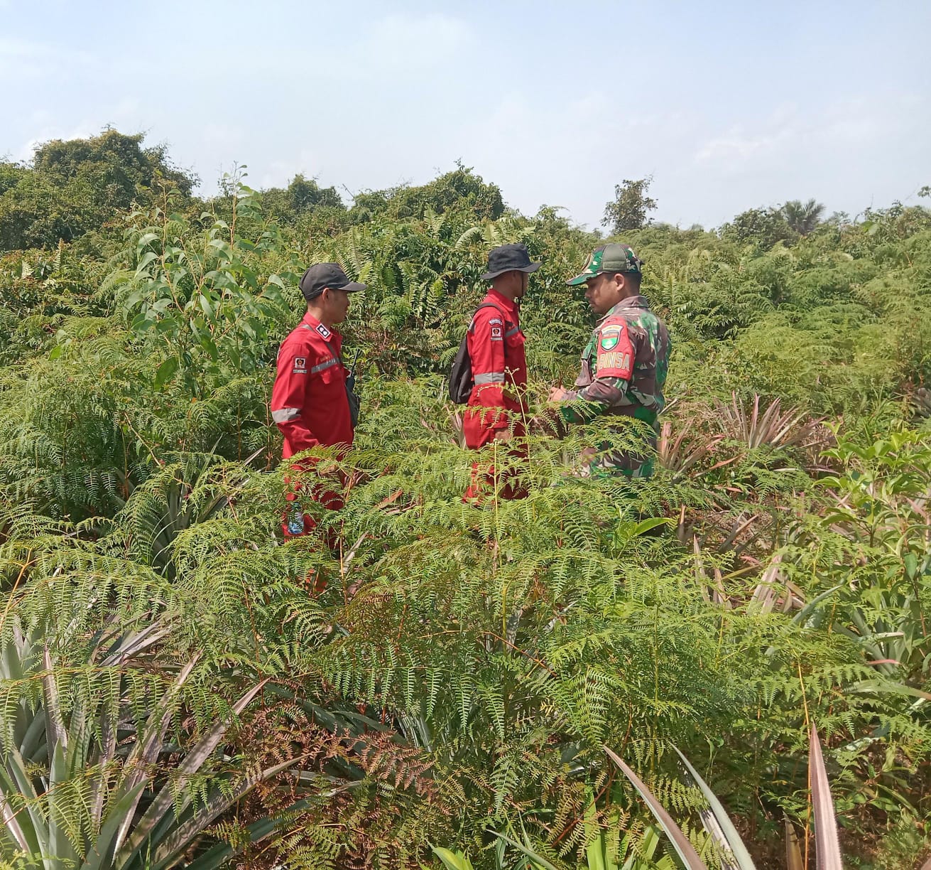 Babinsa Praka Rudi Salim laksanakan Sosialisasi Dampak Kebakaran Hutan dan Lahan
