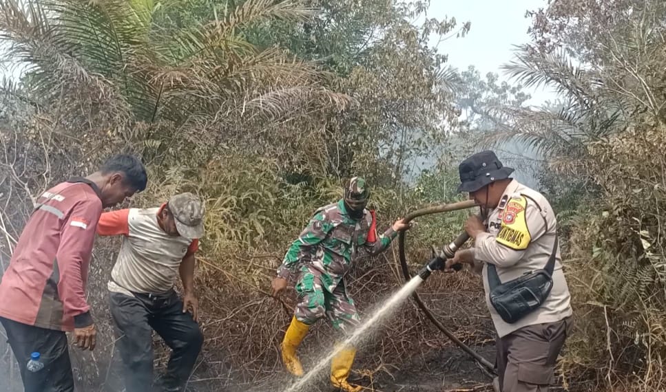 Babinsa Sertu Silaen Hutabarat, Sosialisasikan Dampak dari Kebakaran Hutan dan Lahan Kepada masyarakat Desa Tanjung Leban