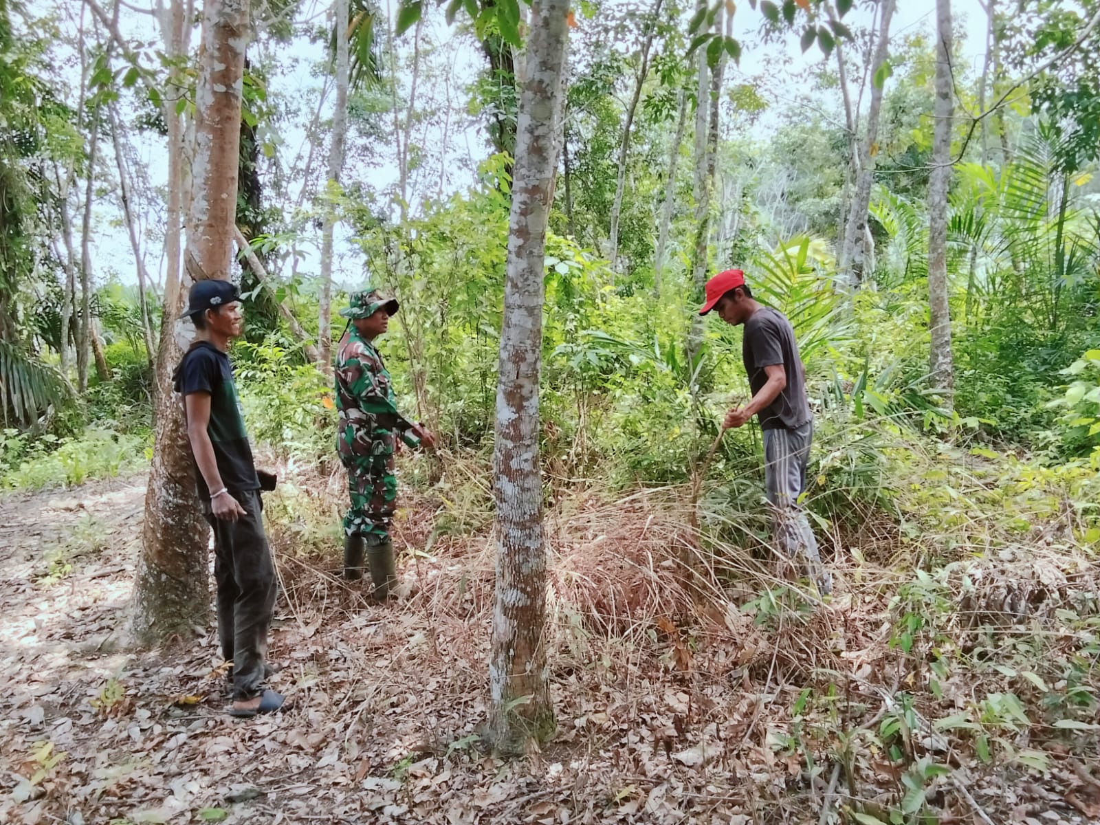 Dampak dari Kebakaran Hutan dan Lahan’ ini Pesan Sertu Dodi Kepada Masyarakat Desa Api-api Bandar Laksamana