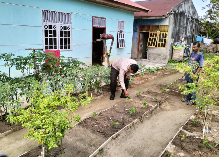 Bhabinkamtibmas Kelurahan Sukajadi Cek Ketahanan Pangan Bergizi, Dukung Penanaman Cabe di Jalan Bintan