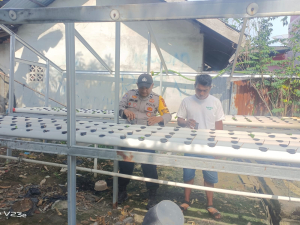 Bhabinkamtibmas Kelurahan Laksmana Laksanakan Pengecekan Ketahanan Pangan Bergizi dengan Penanaman Cabai