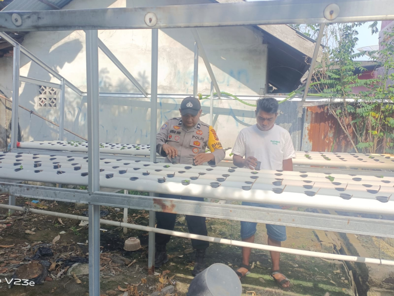 Bhabinkamtibmas Kelurahan Laksmana Laksanakan Pengecekan Ketahanan Pangan Bergizi dengan Penanaman Cabai
