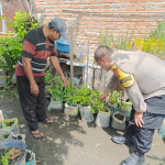 Bhabinkamtibmas Kelurahan Dumai Kota Laksanakan Pengecekan Ketahanan Pangan Bergizi melalui Penanaman Kacang Panjang
