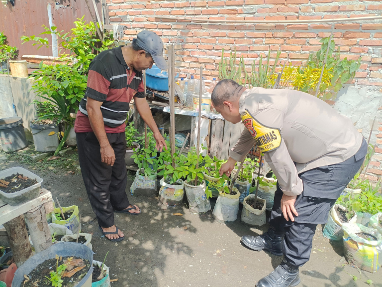 Bhabinkamtibmas Kelurahan Dumai Kota Laksanakan Pengecekan Ketahanan Pangan Bergizi melalui Penanaman Kacang Panjang